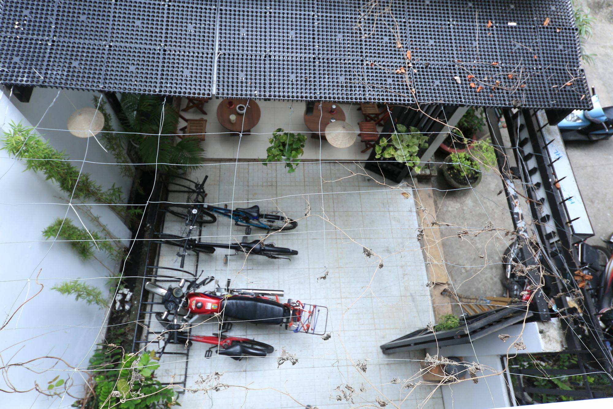 Cucu 2* TP. Hồ Chí Minh